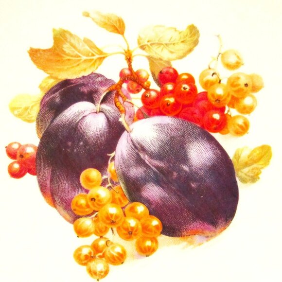 (3) Schumann Arzbery Germany handpainted salad fruit plates circa 1940s fine por - Picture 8 of 8